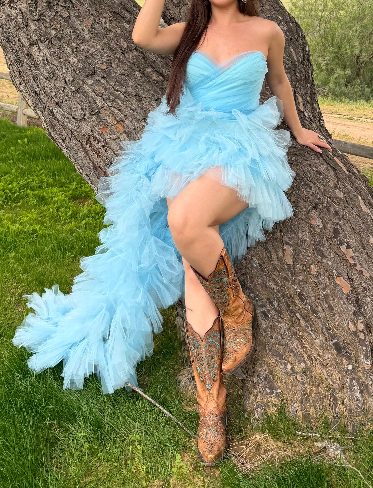 Once Upon A Time Tulle Dress
