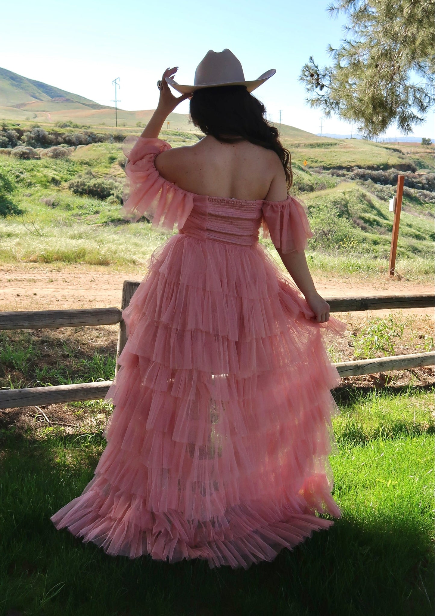Fairytale Princess Tulle Dress (Blush)