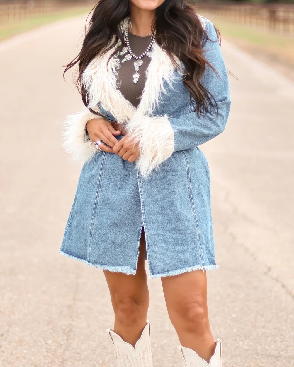 Light Blue Denim Faux Fur Trim Long Sleeve Mini Dress - Front Full Length